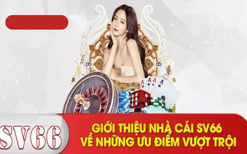 Giới thiệu Sv66 tổng quan