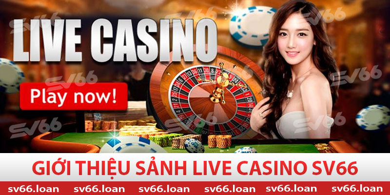 Live casino SV66